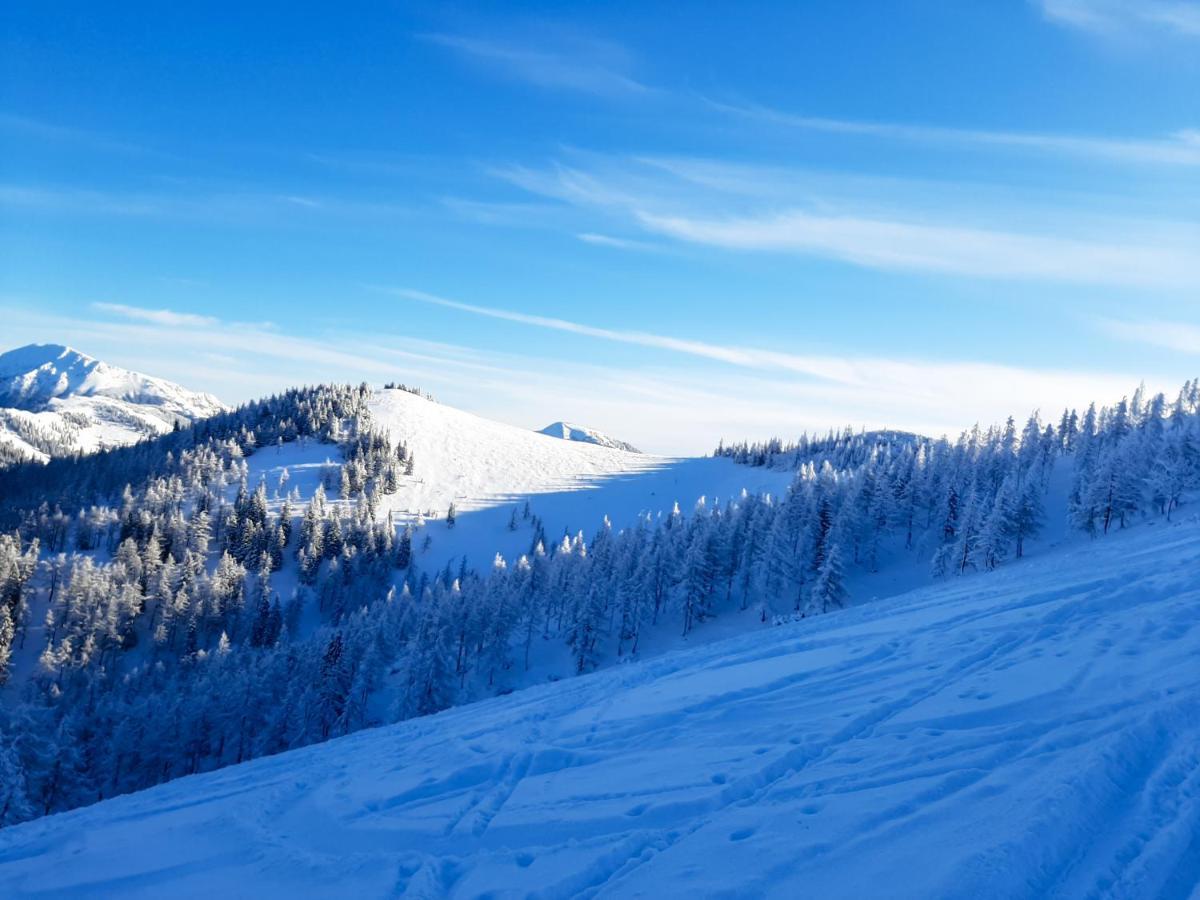 Romantiksuite Bei Seitberger Frauenberg Экстерьер фото